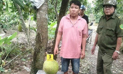 Tiền Giang: Nam thanh niên bị khởi tố vì trộm hai quả mít
