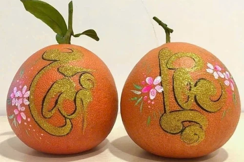 Bưởi đỏ tiến vua hữu cơ giá 2 triệu đồng/quả xuất hiện dịp Tết